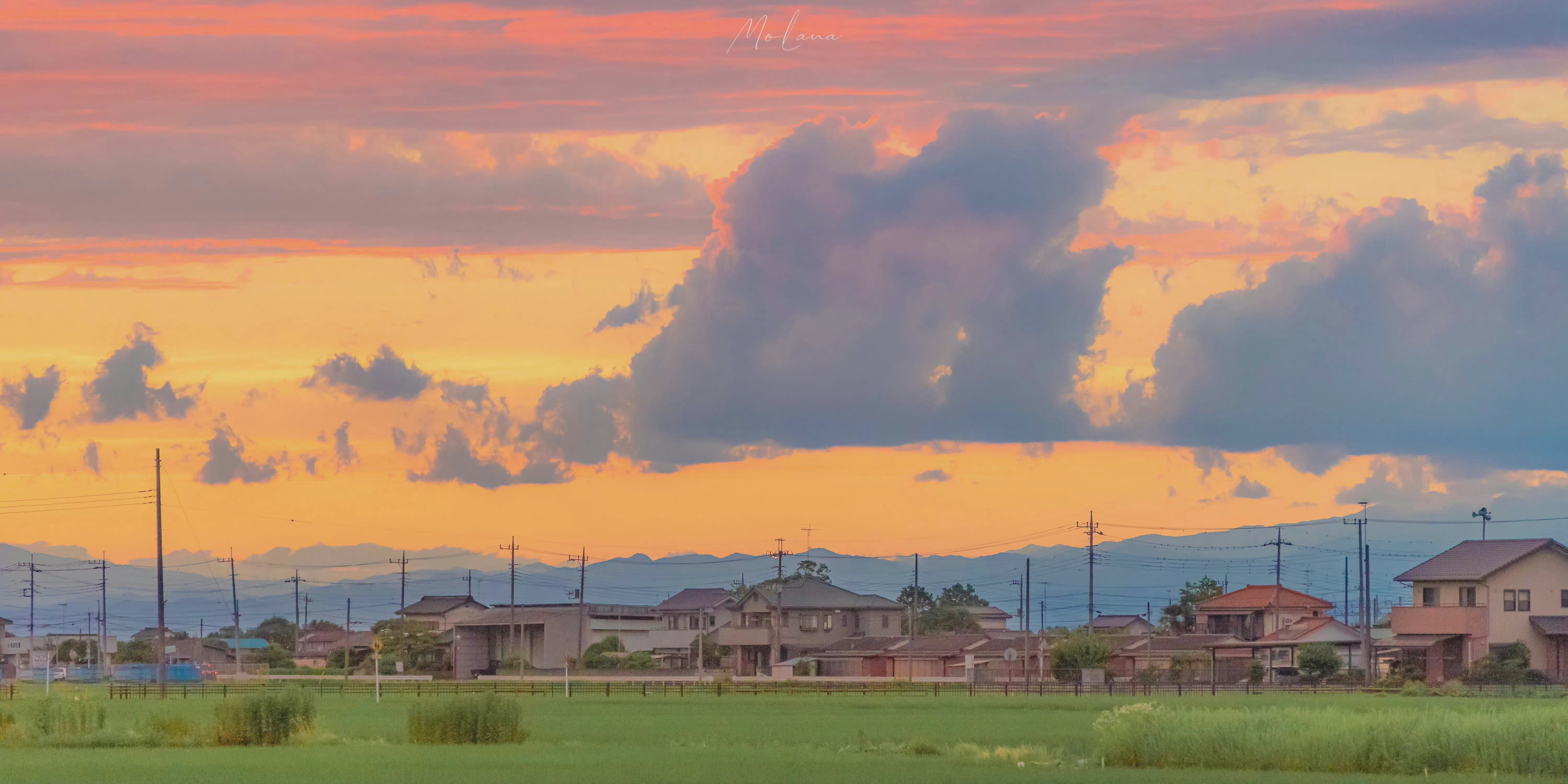 专题